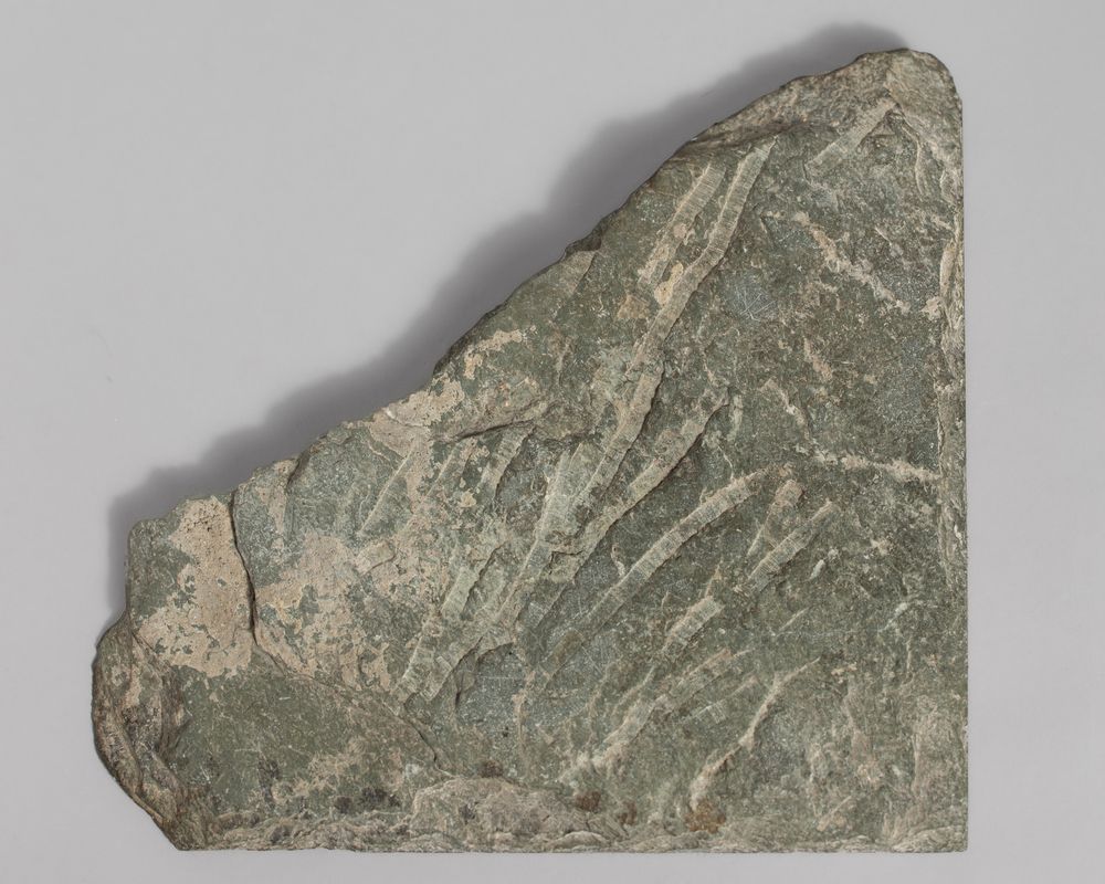 Plaque de lambris gravé
