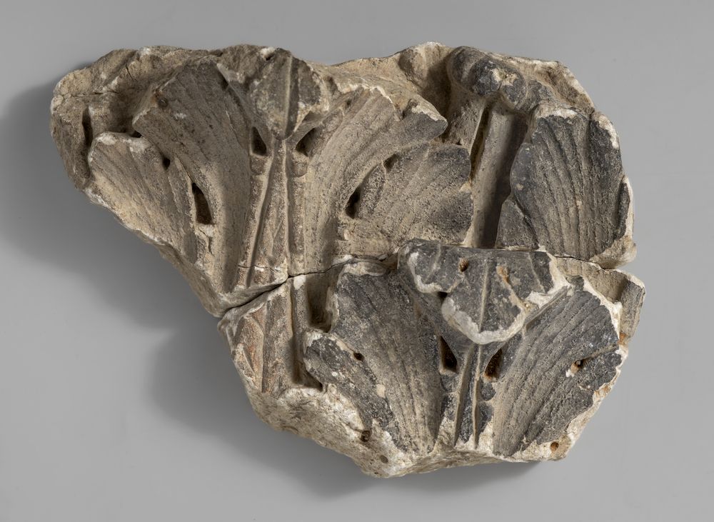 Fragment de chapiteau