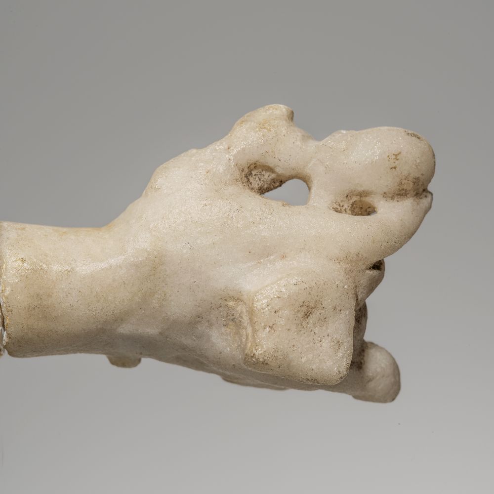 Main tenant un plectre