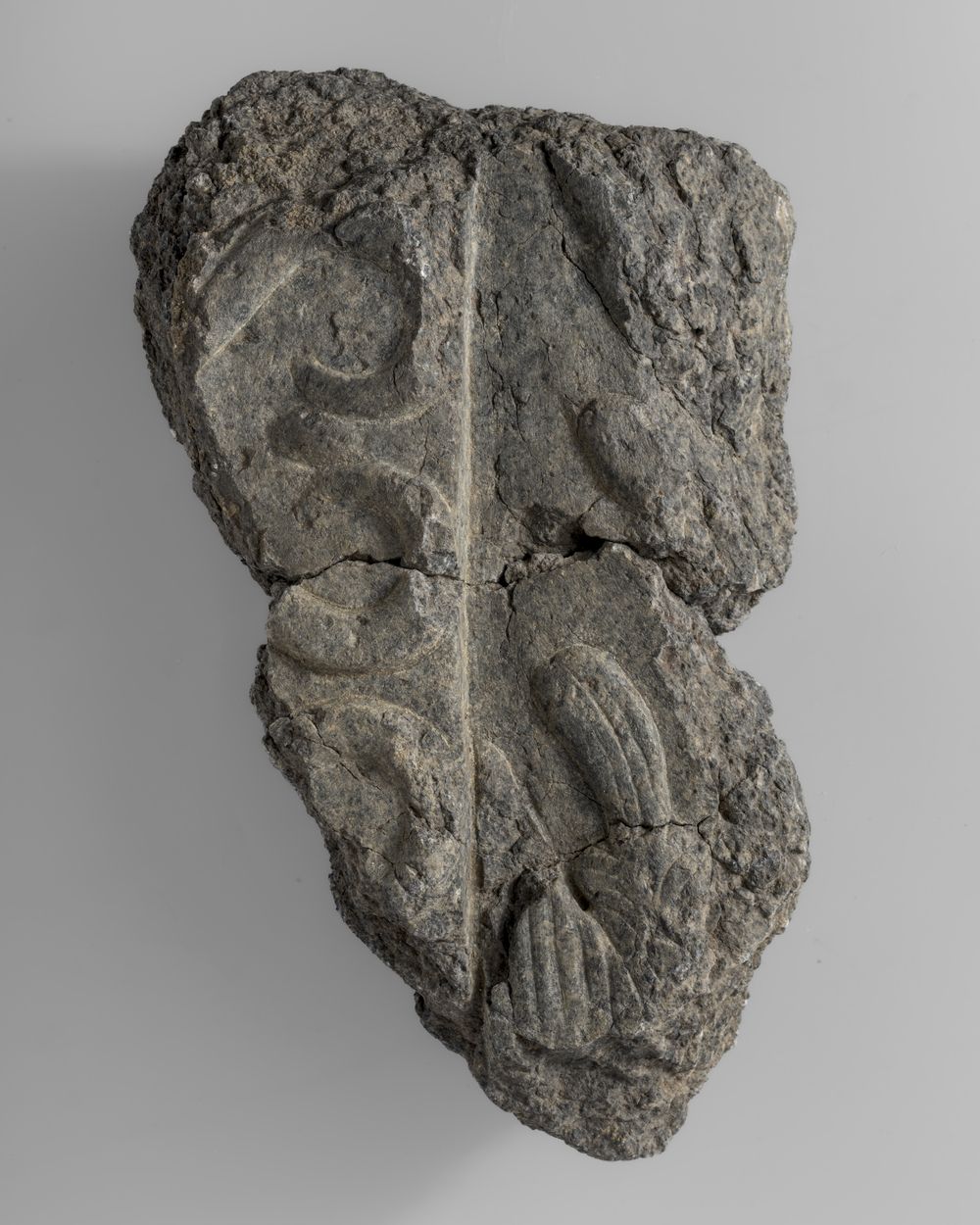 Fragment de décor sculpté