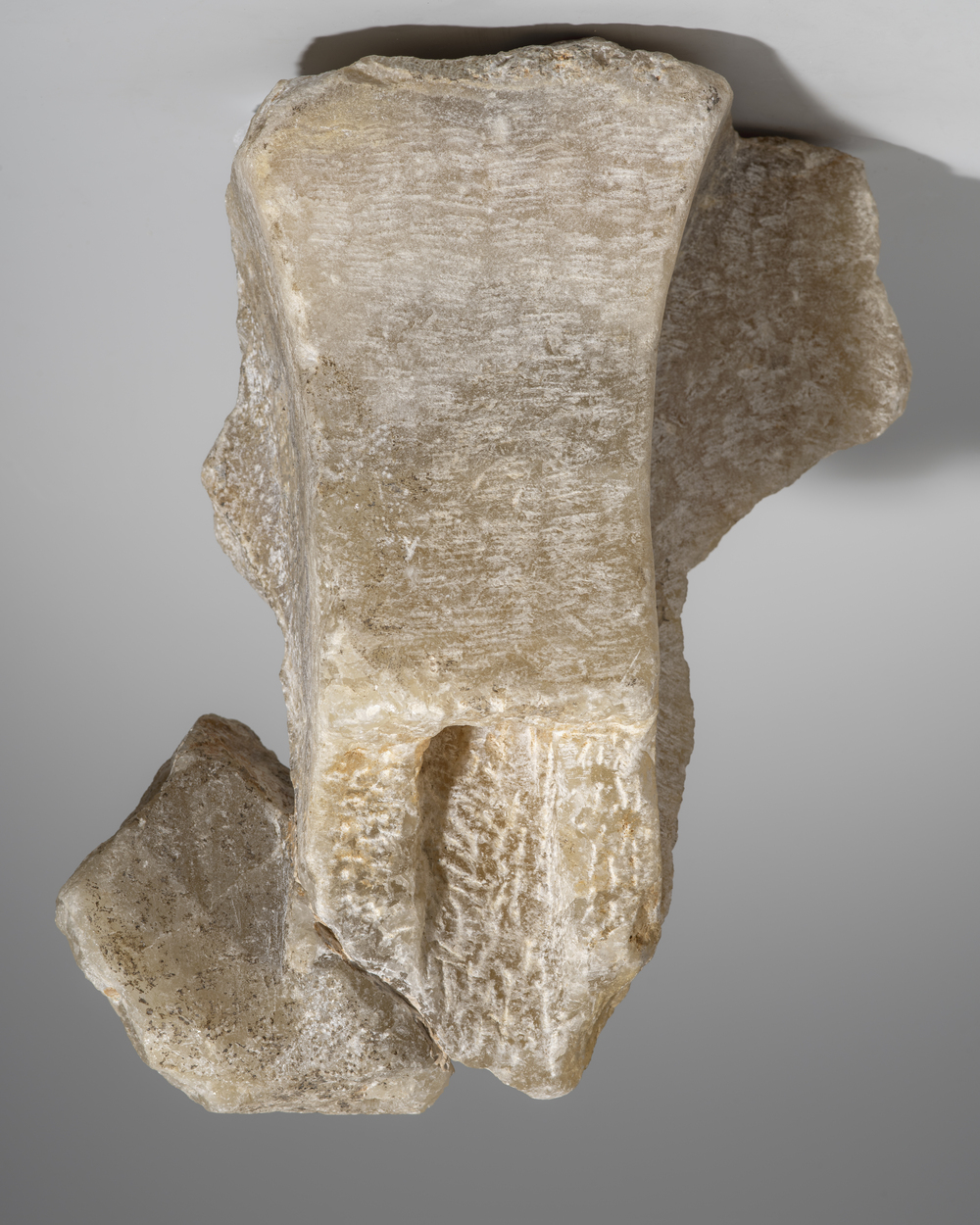 Fragment de buste en albâtre