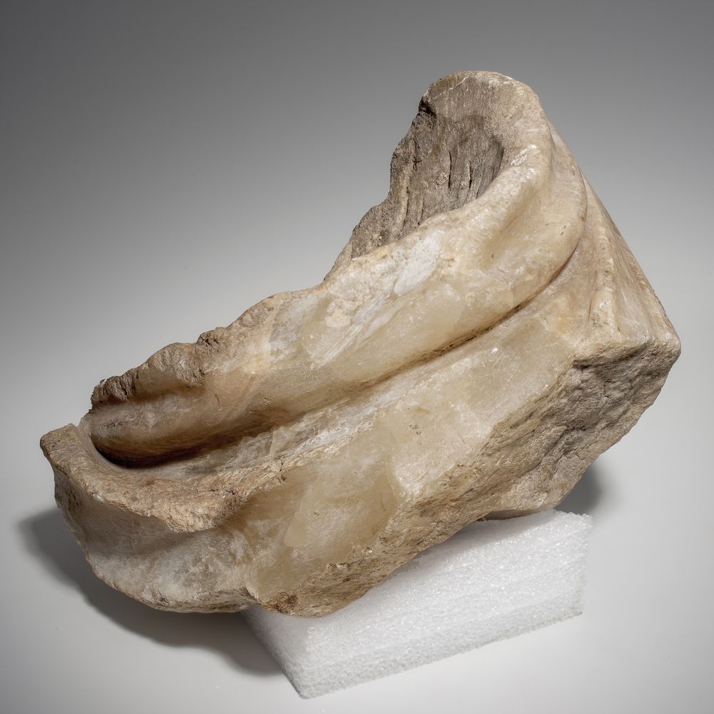 Drapé fragmentaire d’un paludamentum