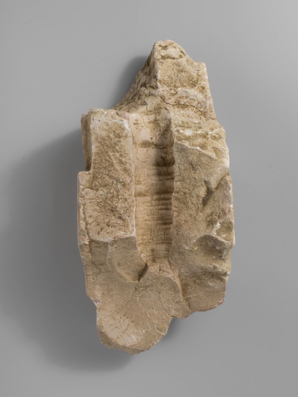 Fragment de colonnette