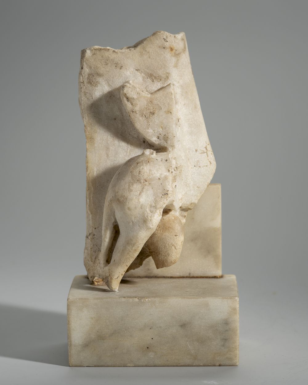 Fragment d’un relief avec griffon