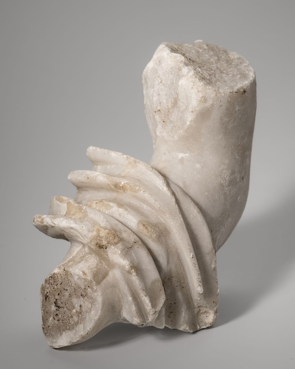 Bras droit avec drapé