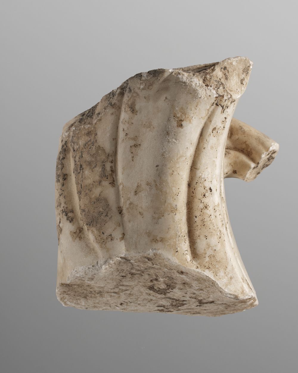 Fragment de rameau