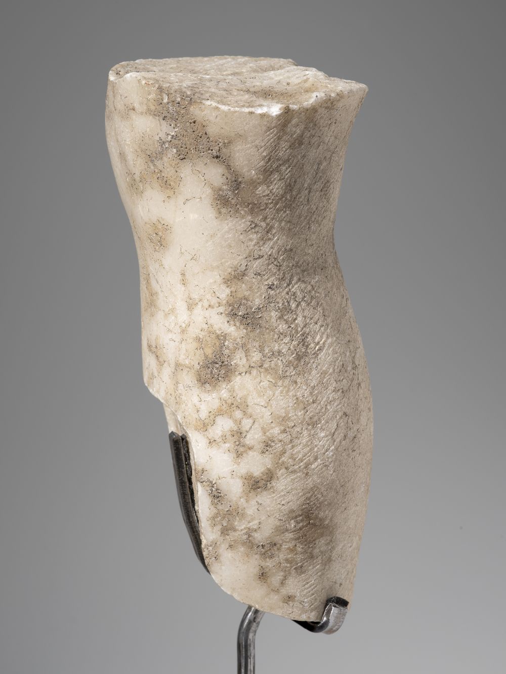 Fragment de jambe