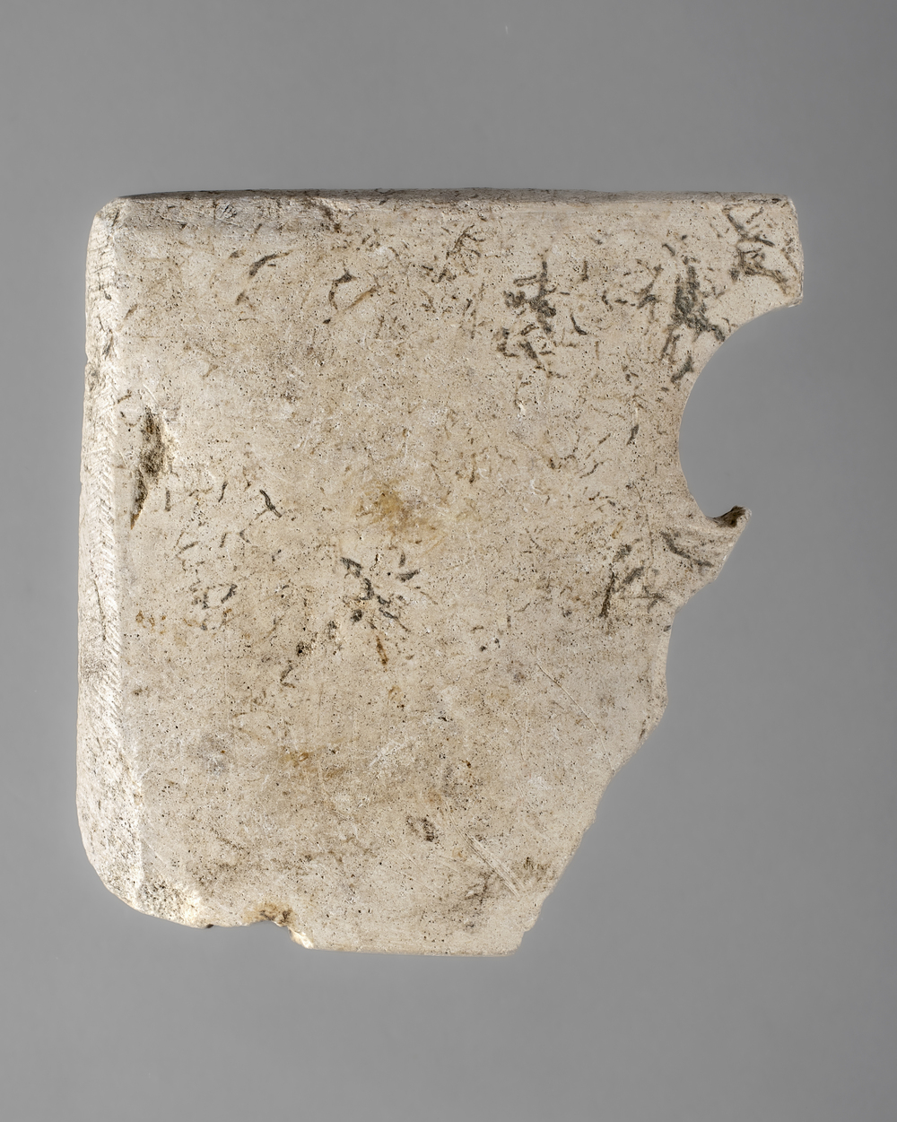 Fragment de petit bouclier