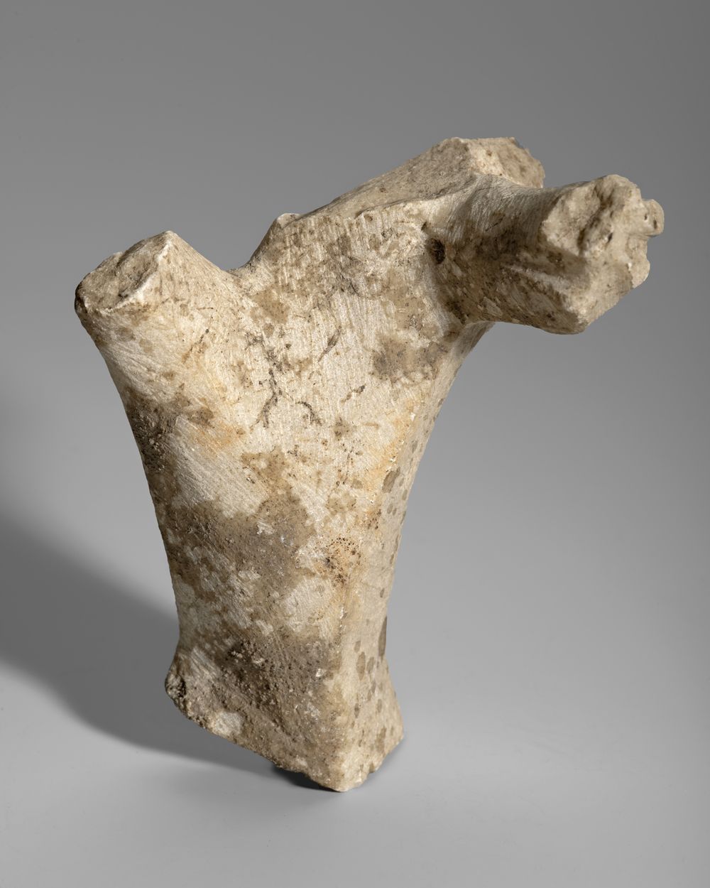 Fragment indéterminé