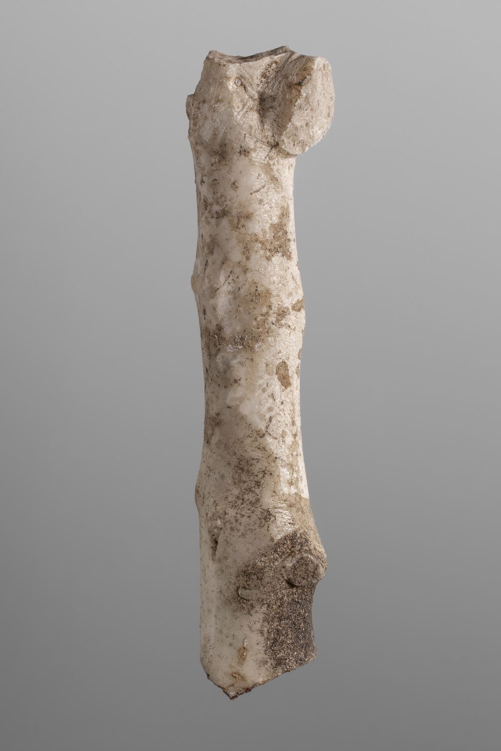 Fragment indéterminé