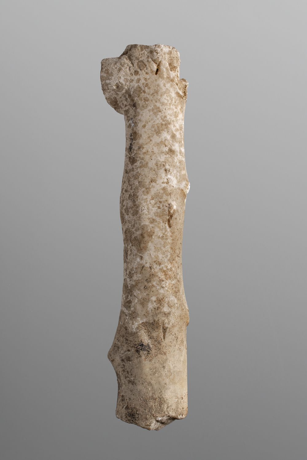 Fragment indéterminé
