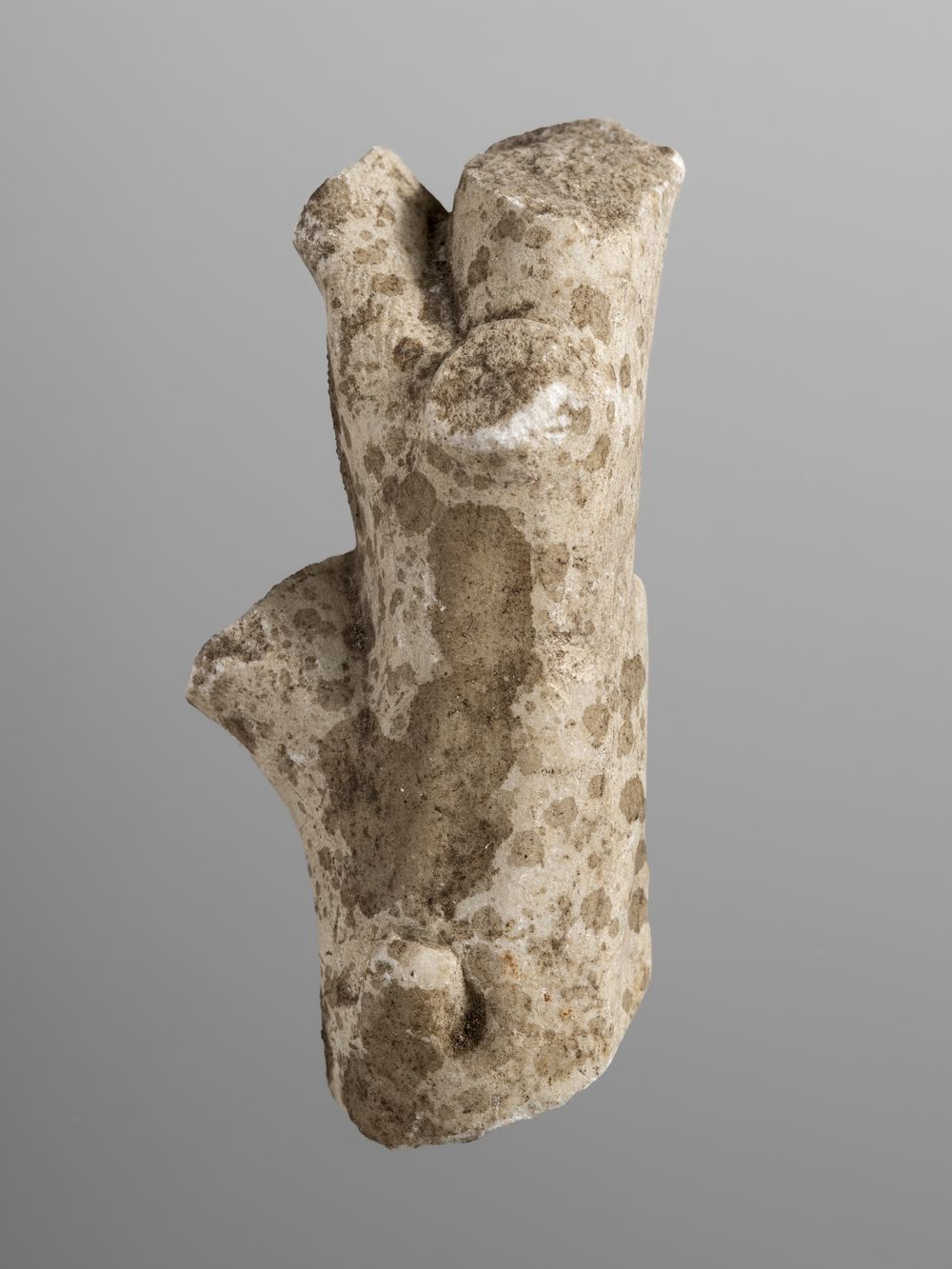 Fragment indéterminé