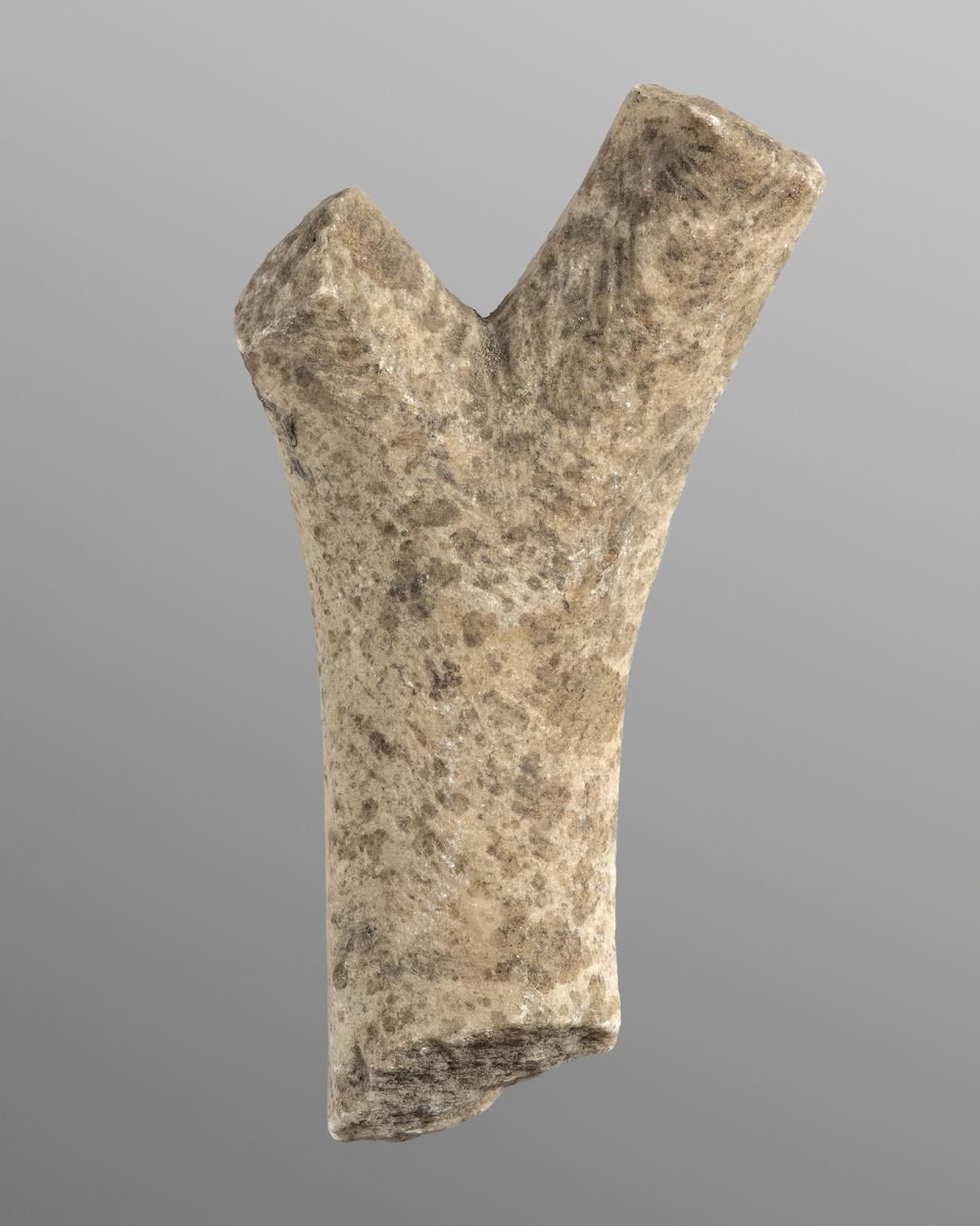 Fragment indéterminé