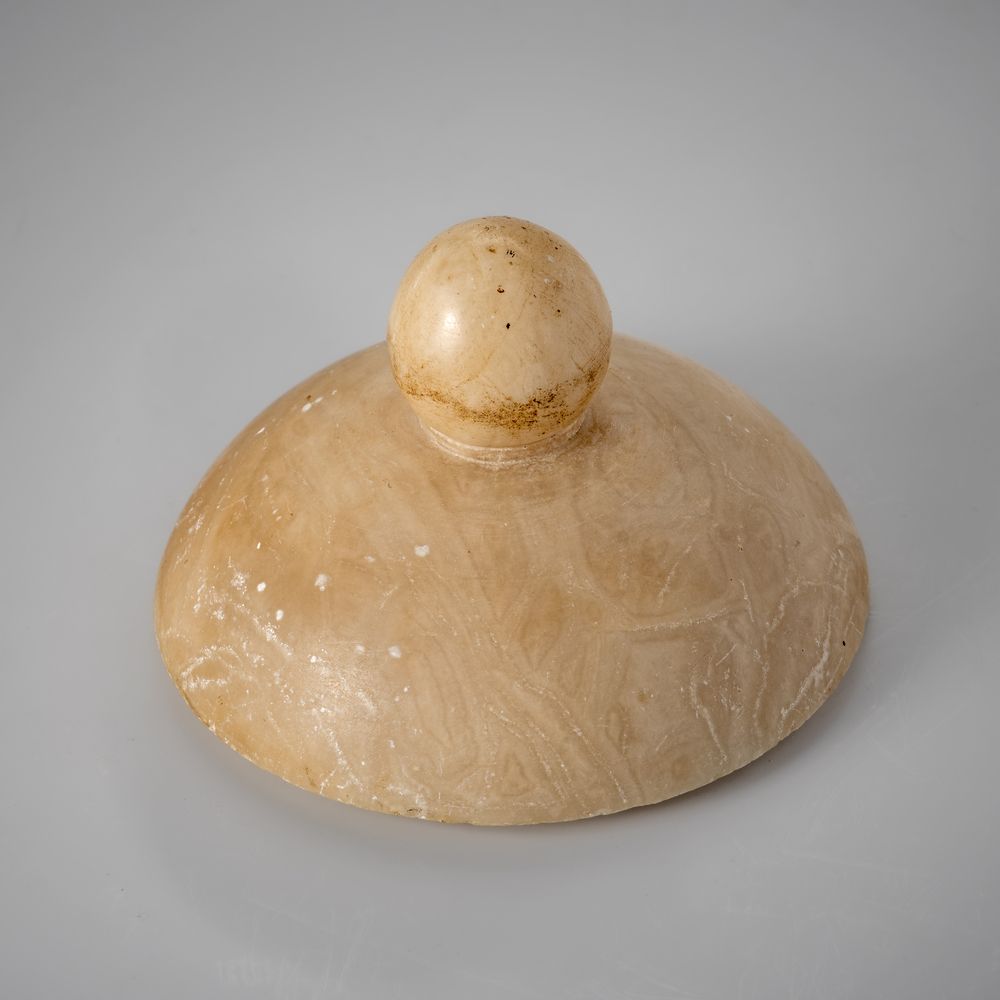 Couvercle à bouton de préhension