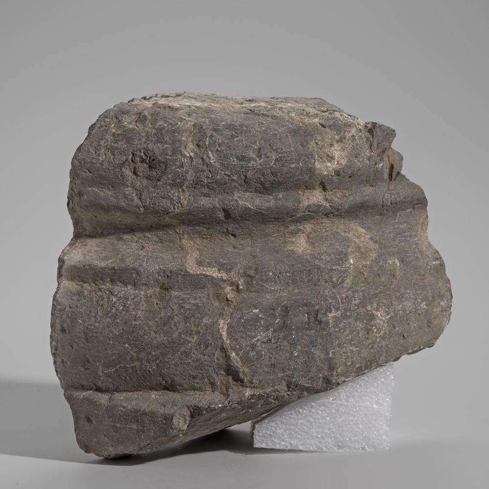 Fragment de base de colonne