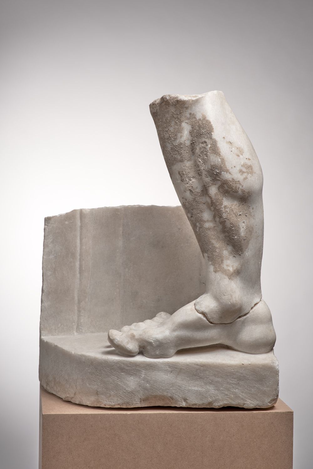 Pied et mollet du cycle d’Hercule