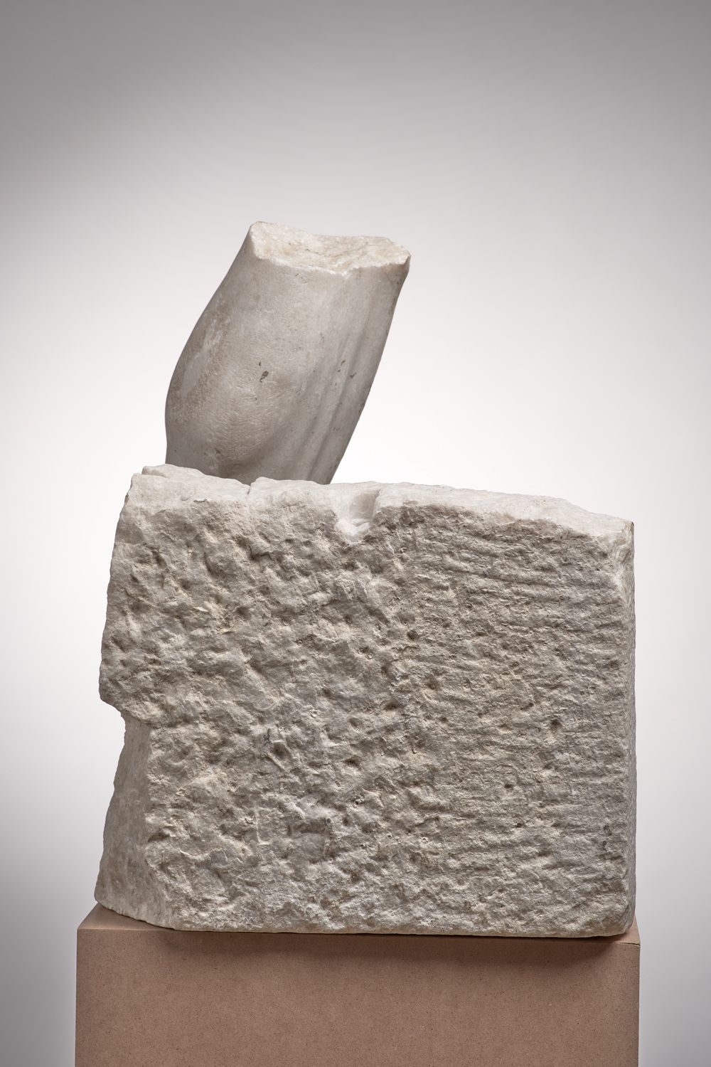 Pied et mollet du cycle d’Hercule