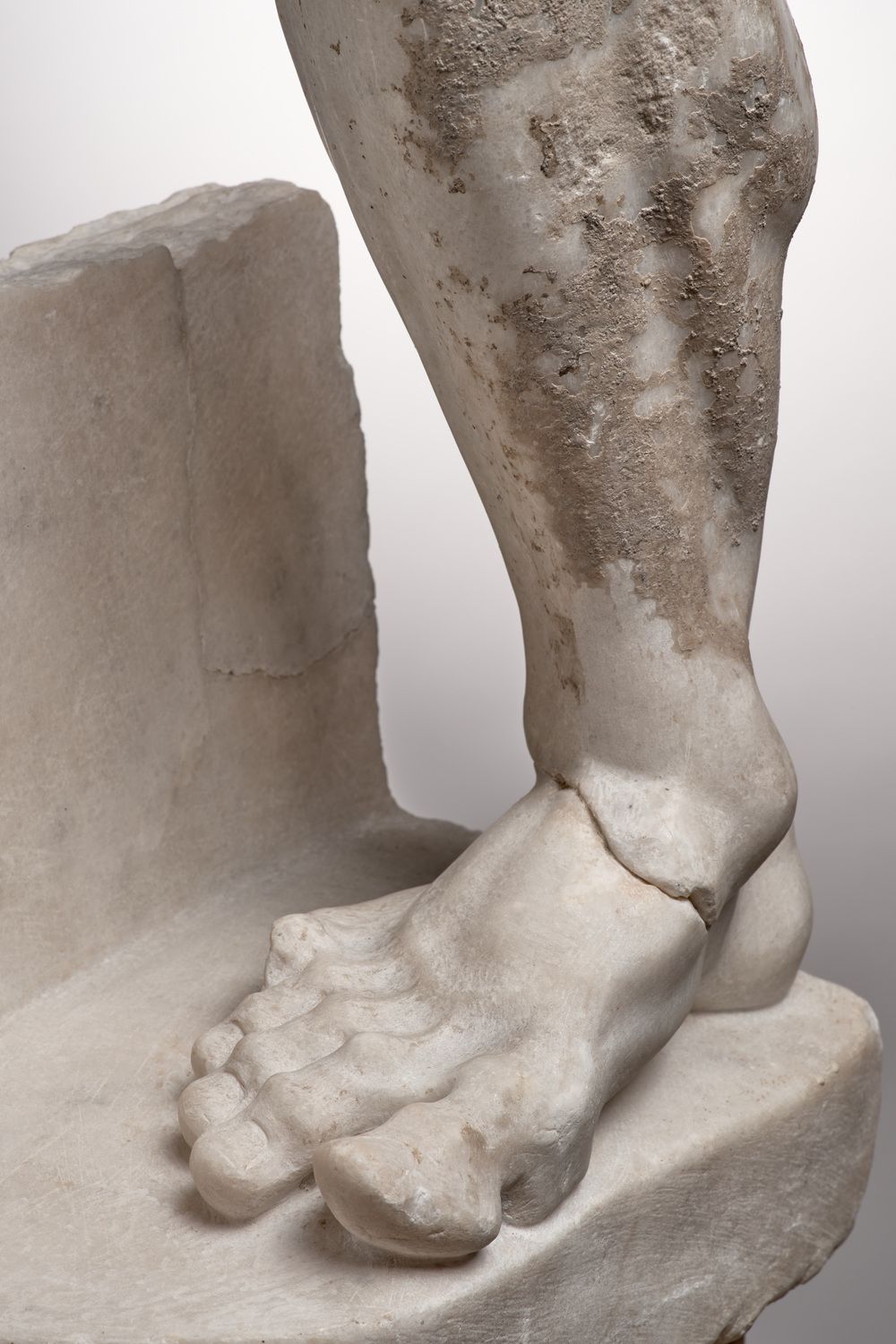 Pied et mollet du cycle d’Hercule