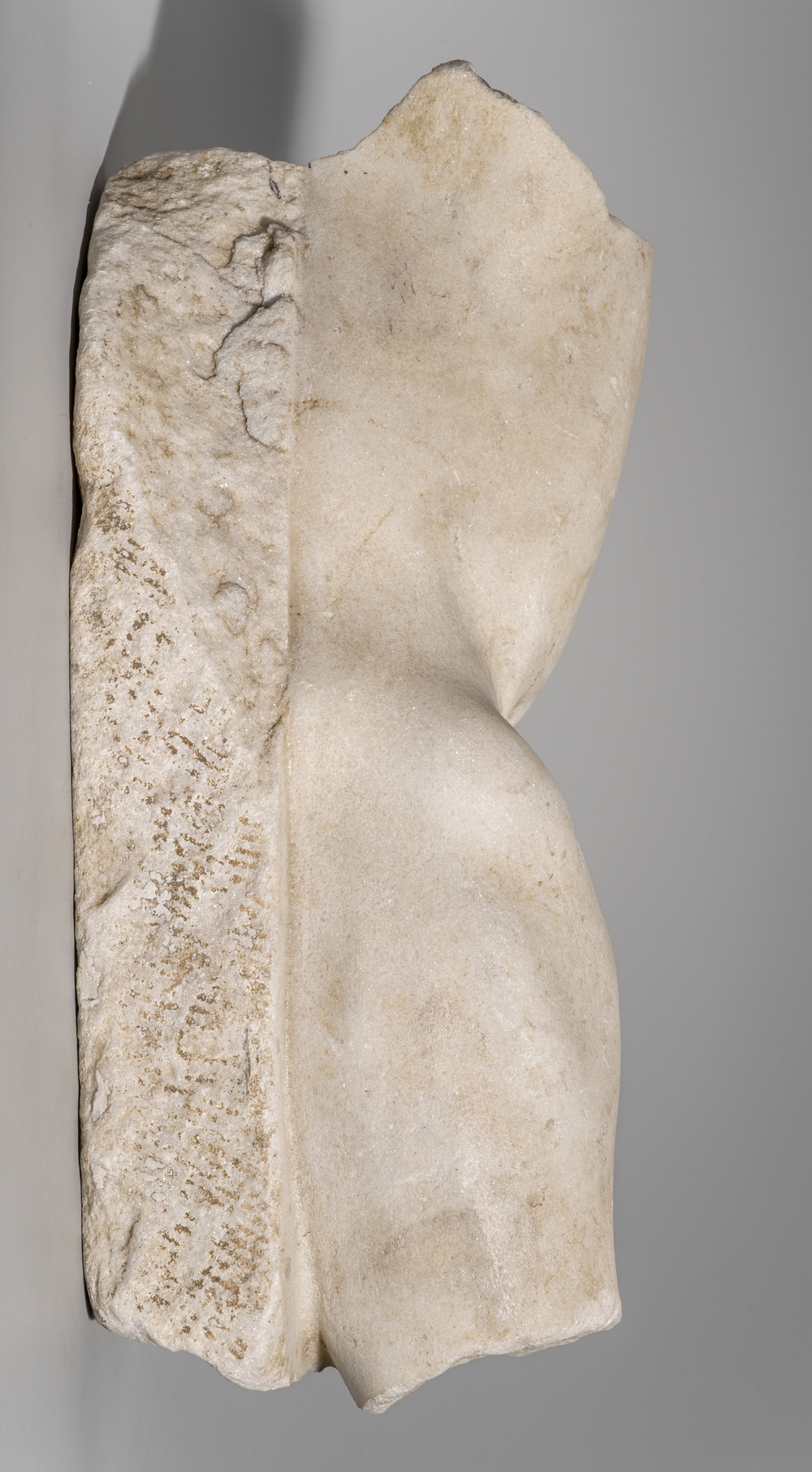 Bras droit du cycle d’Hercule