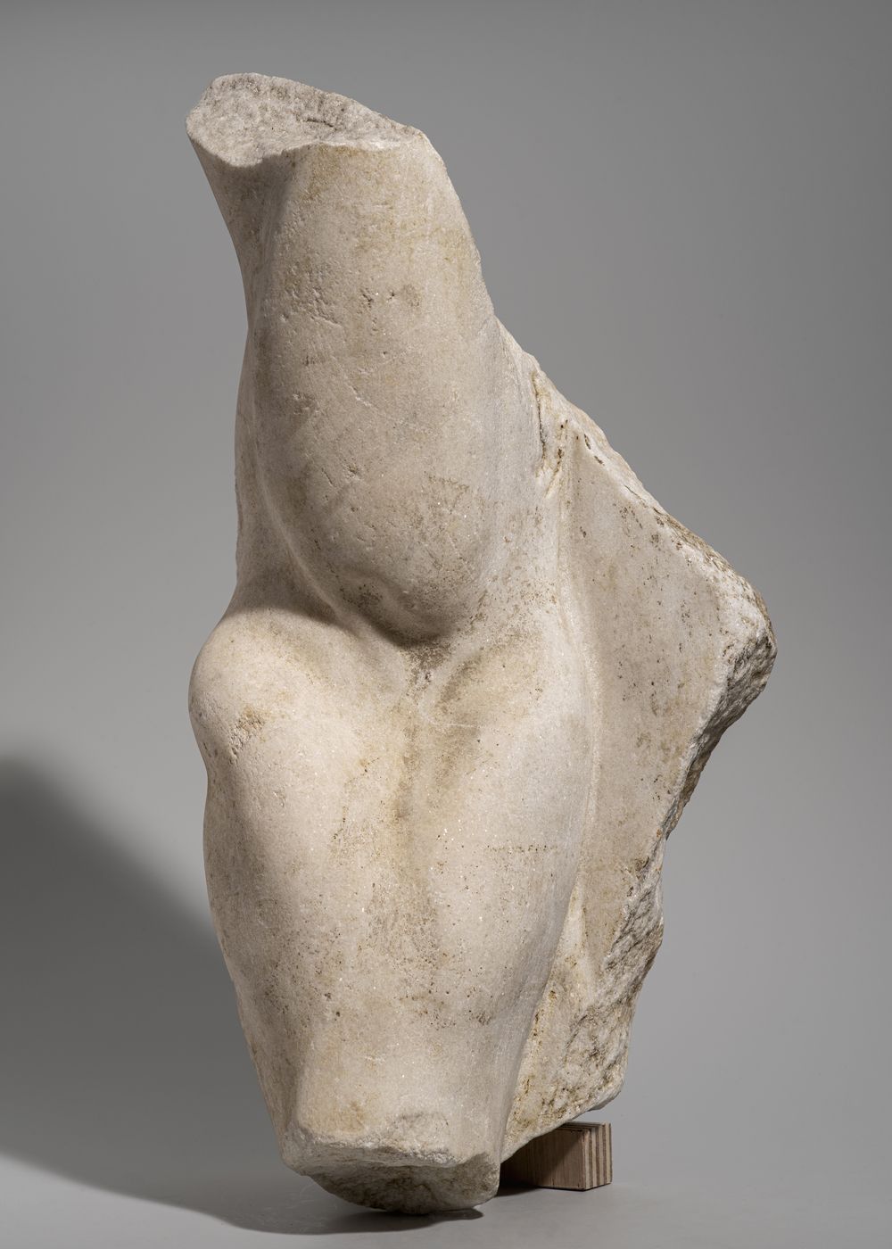 Bras droit du cycle d’Hercule