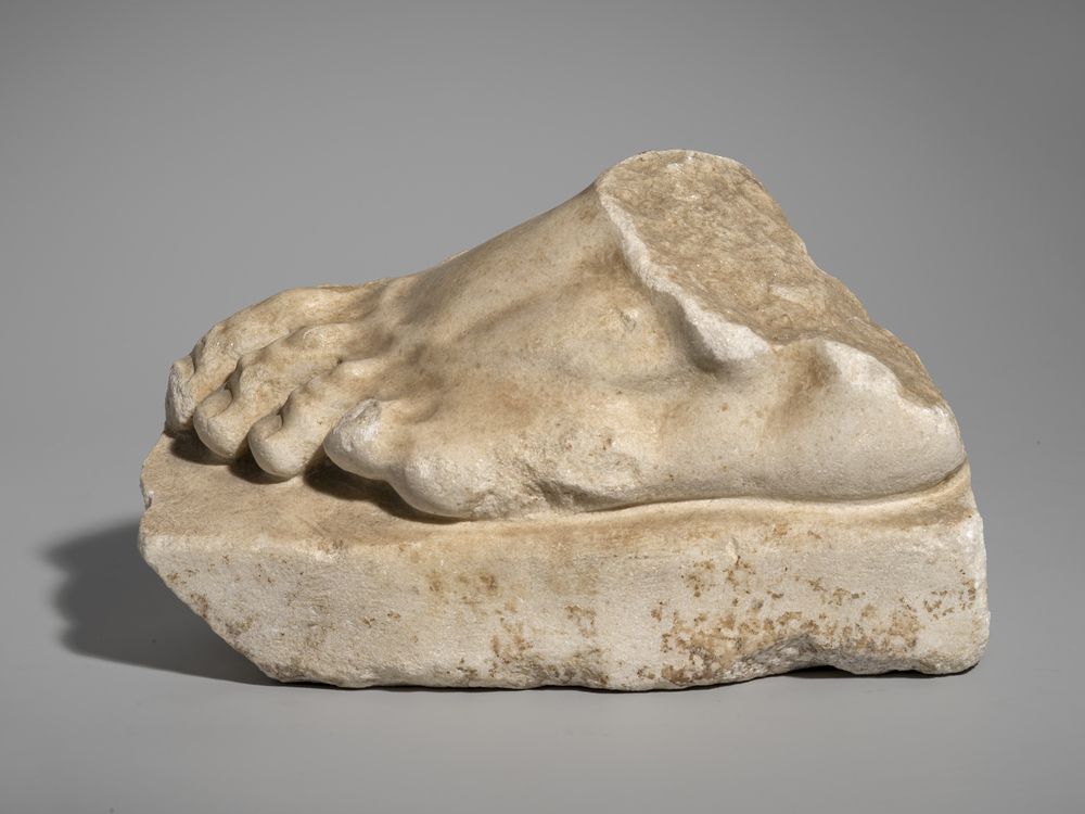 Pied gauche du cycle d’Hercule