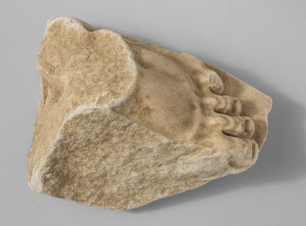 Pied gauche du cycle d’Hercule