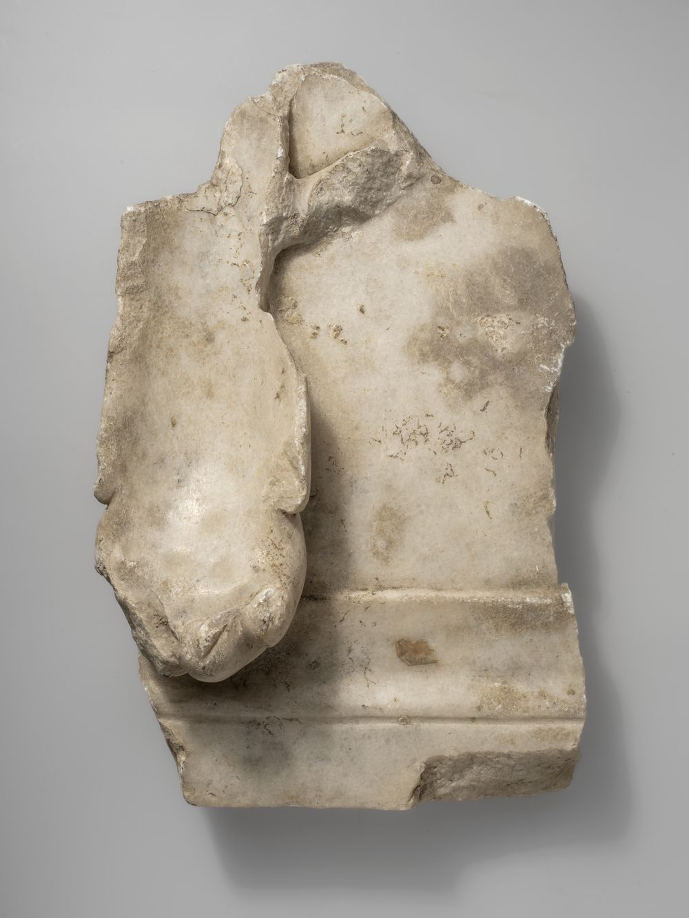 Patte de léonté du cycle d’Hercule