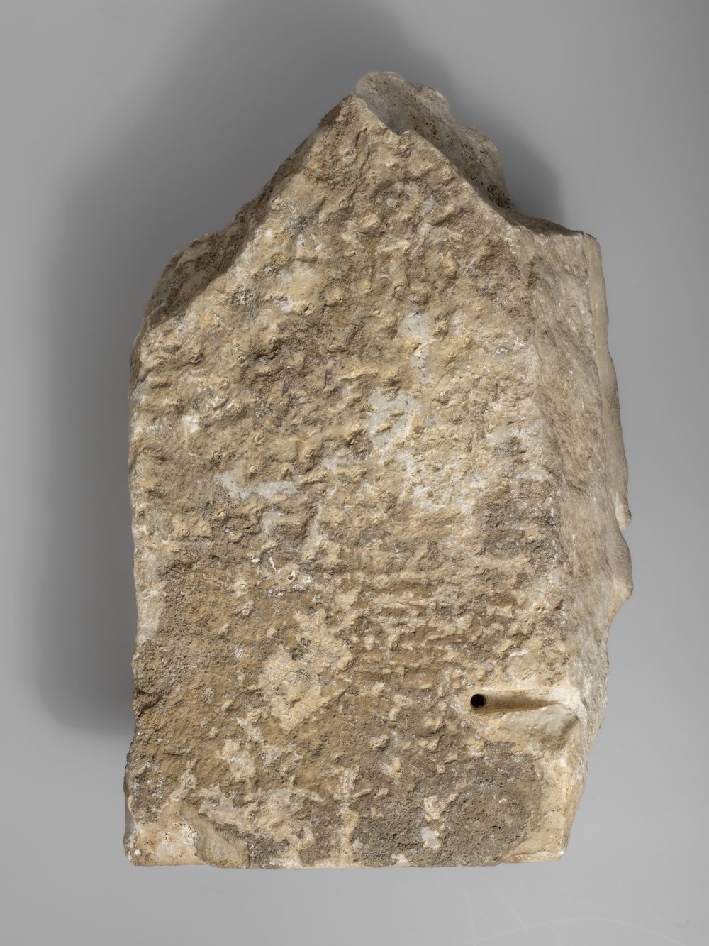 Patte de léonté du cycle d’Hercule