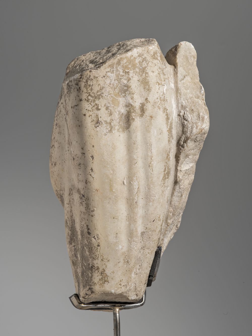 Fragment de jambe du cycle d’Hercule (?)