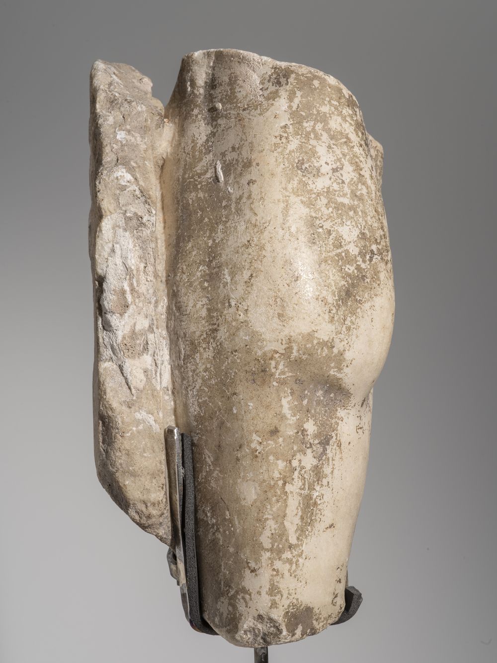 Fragment de jambe du cycle d’Hercule (?)