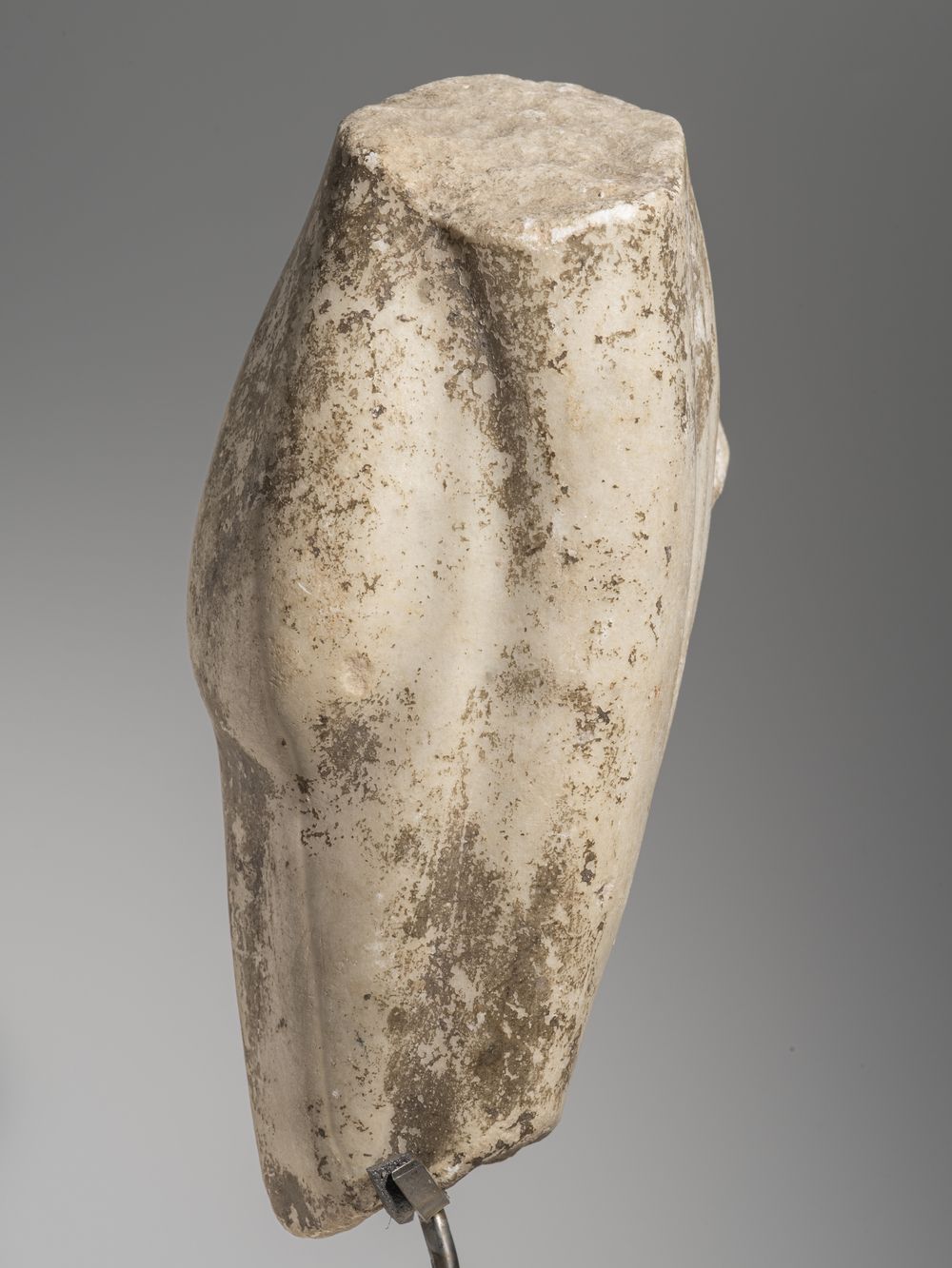 Fragment de jambe du cycle d’Hercule (?)