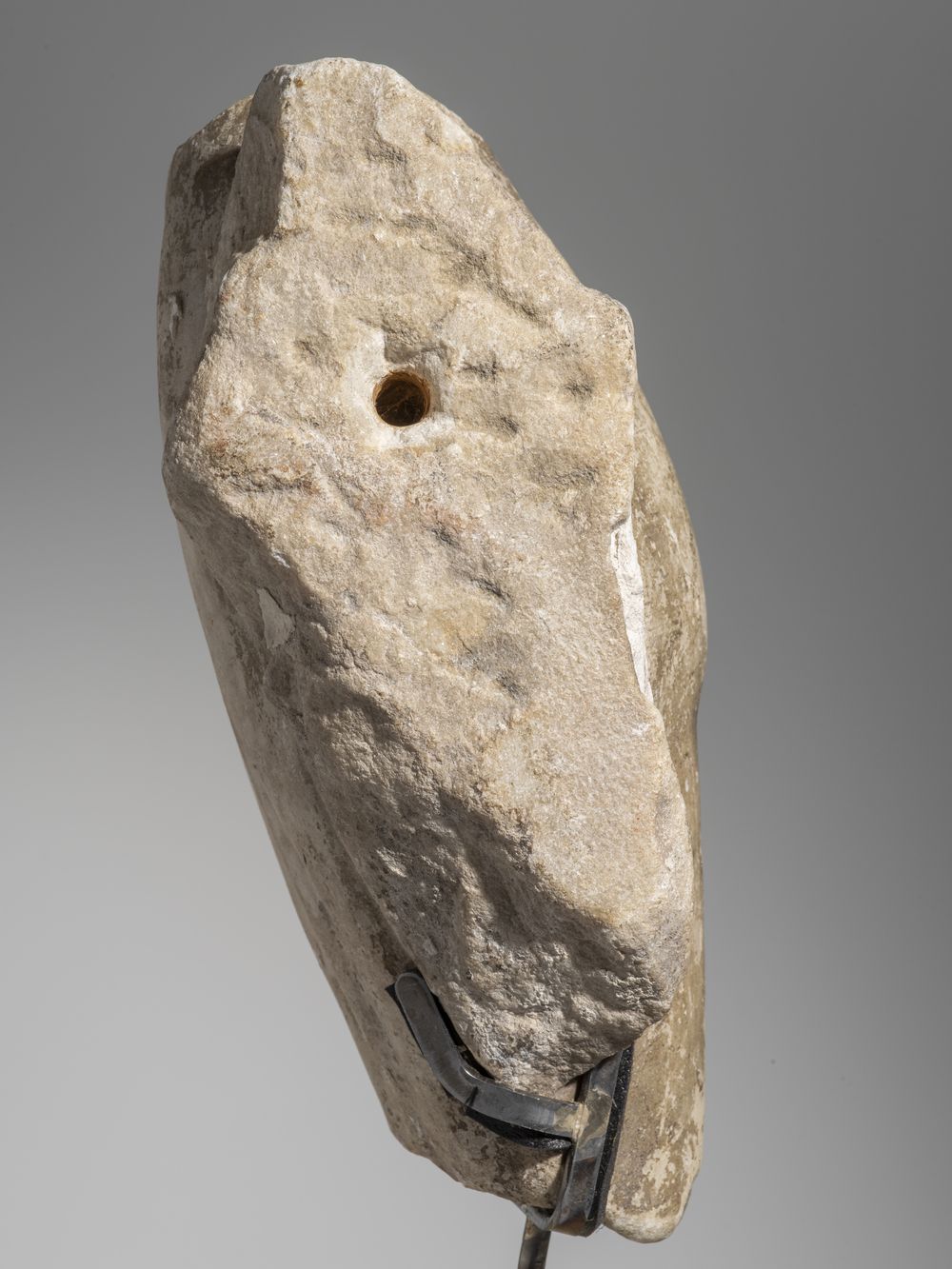 Fragment de jambe du cycle d’Hercule (?)