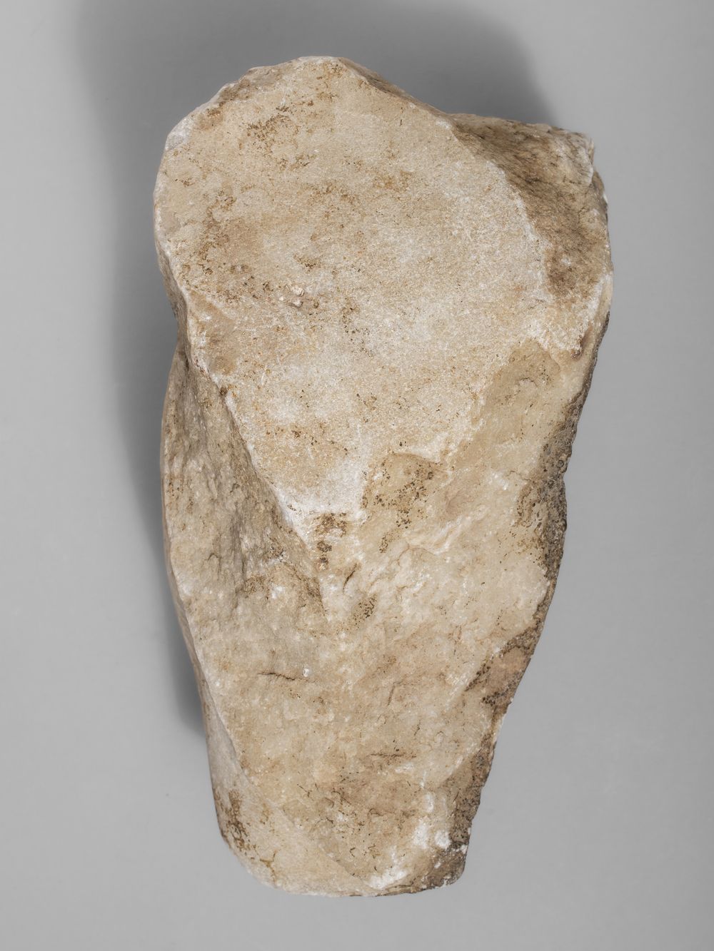 Fragment de patte du cycle d’Hercule (?)