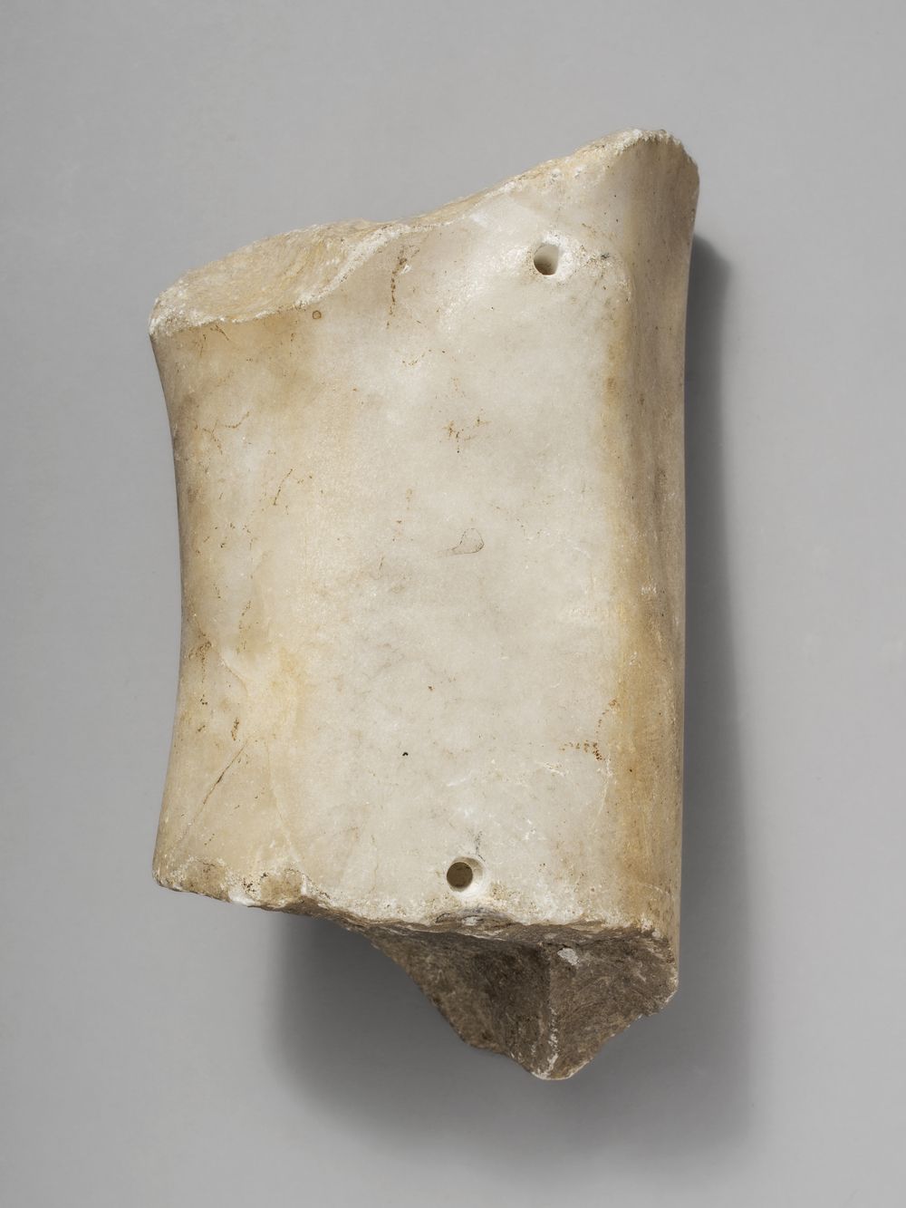 Fragment de patte  du cycle d’Hercule (?)