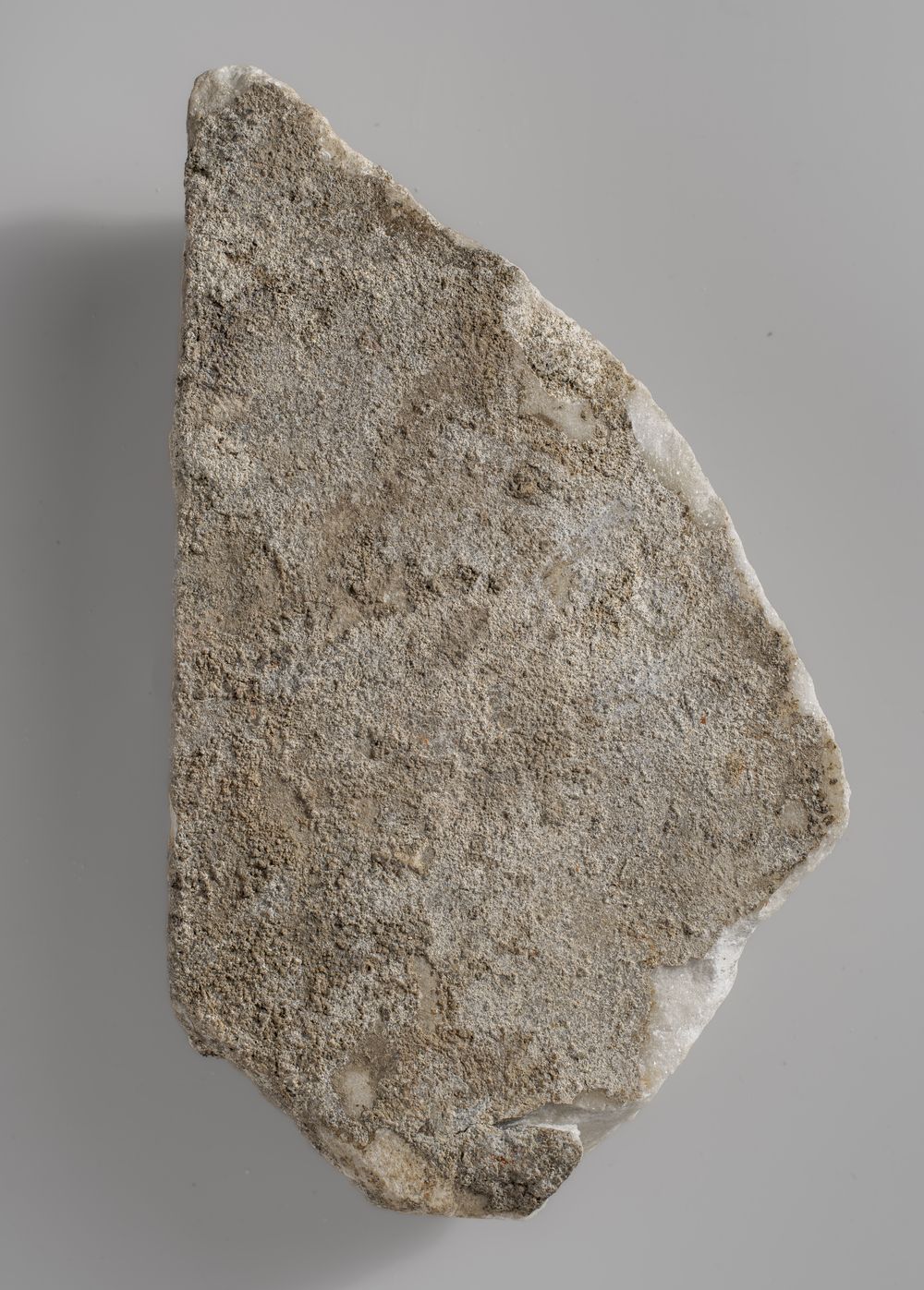 Fragment de relief
