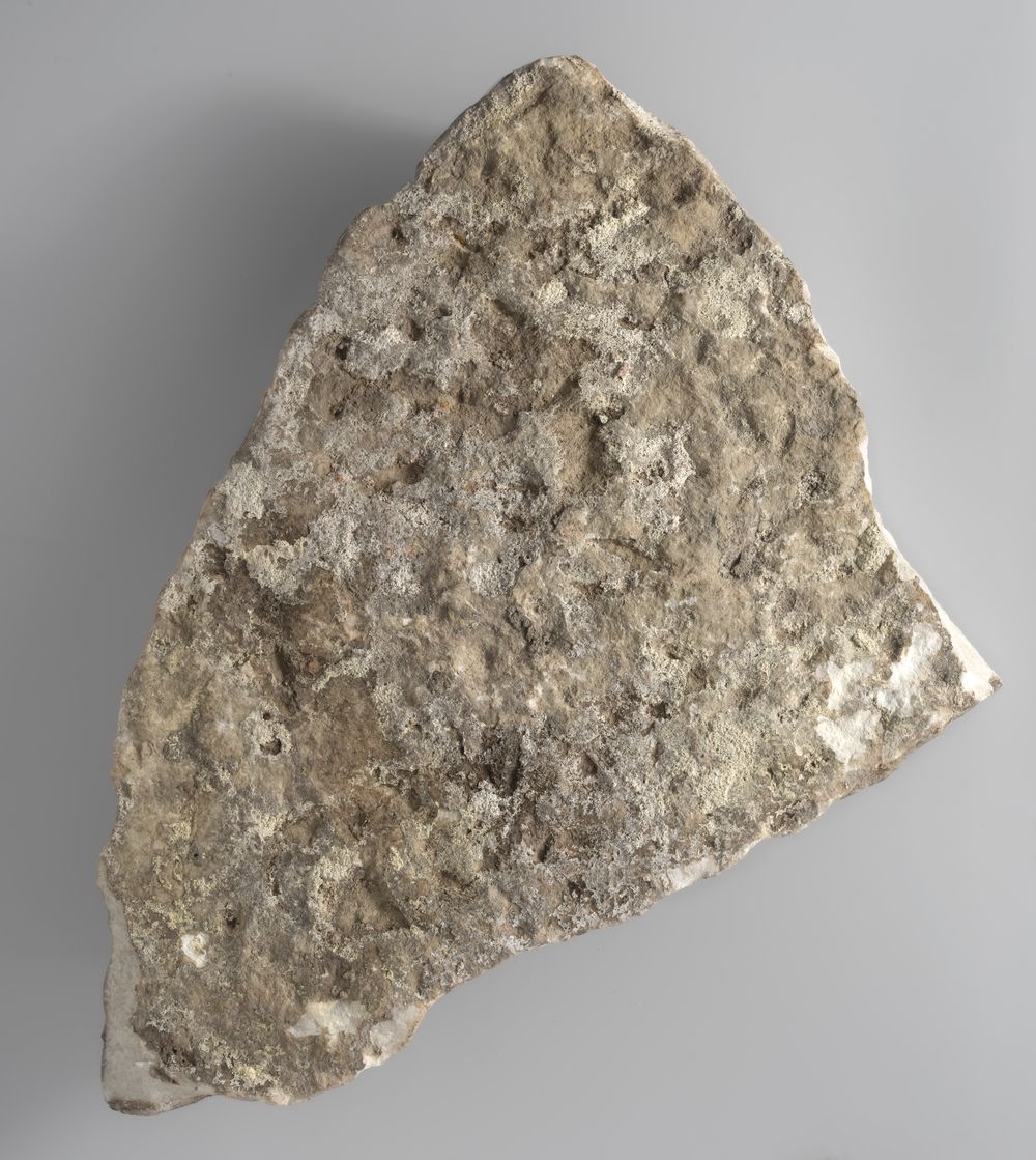 Fragment de relief