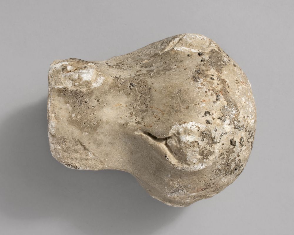 Extrémité d’une massue du cycle d’Hercule