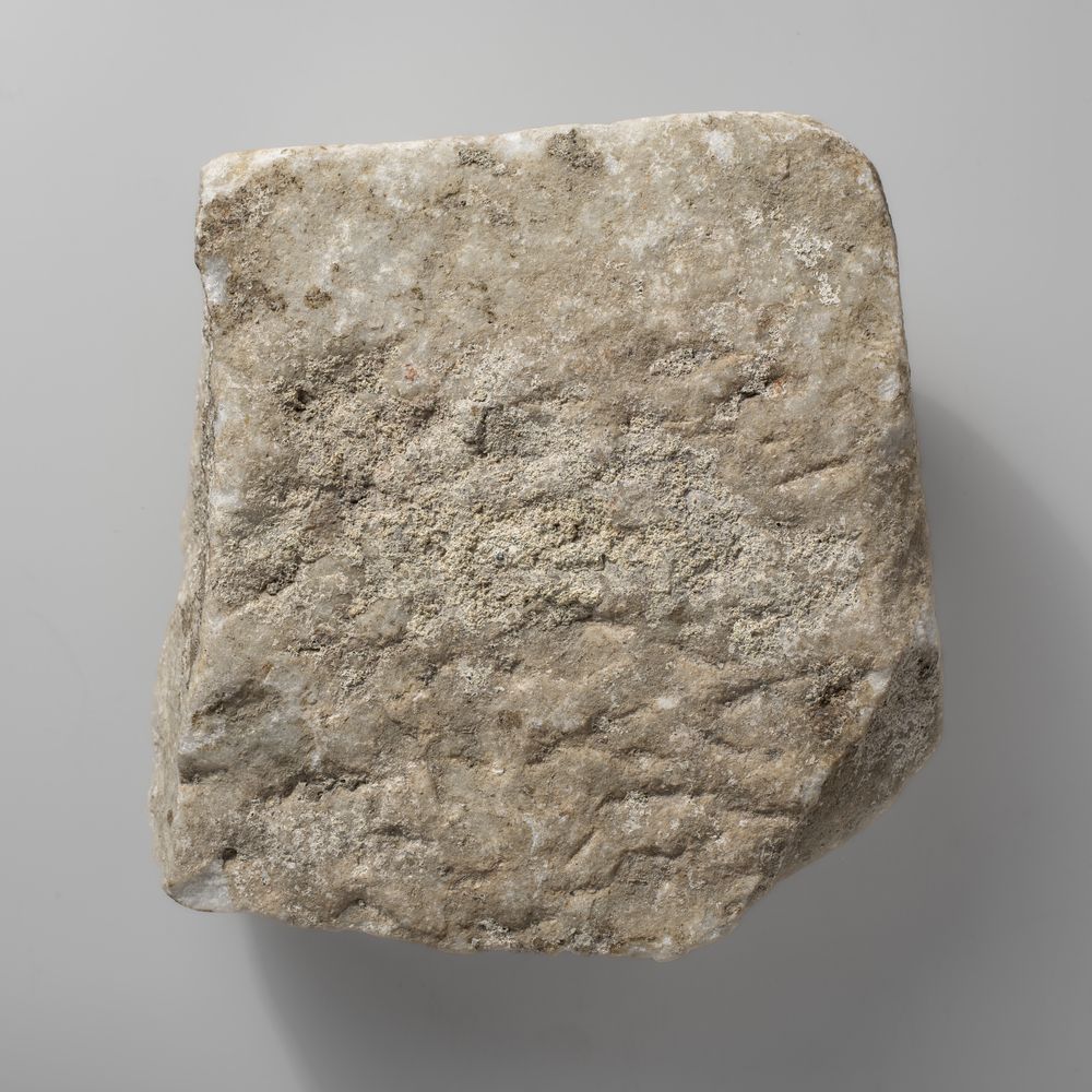 Tête d’oiseau et encadrement d’un relief du cycle d’Hercule