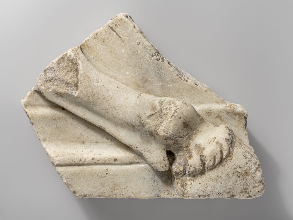 Patte de taureau du cycle d’Hercule