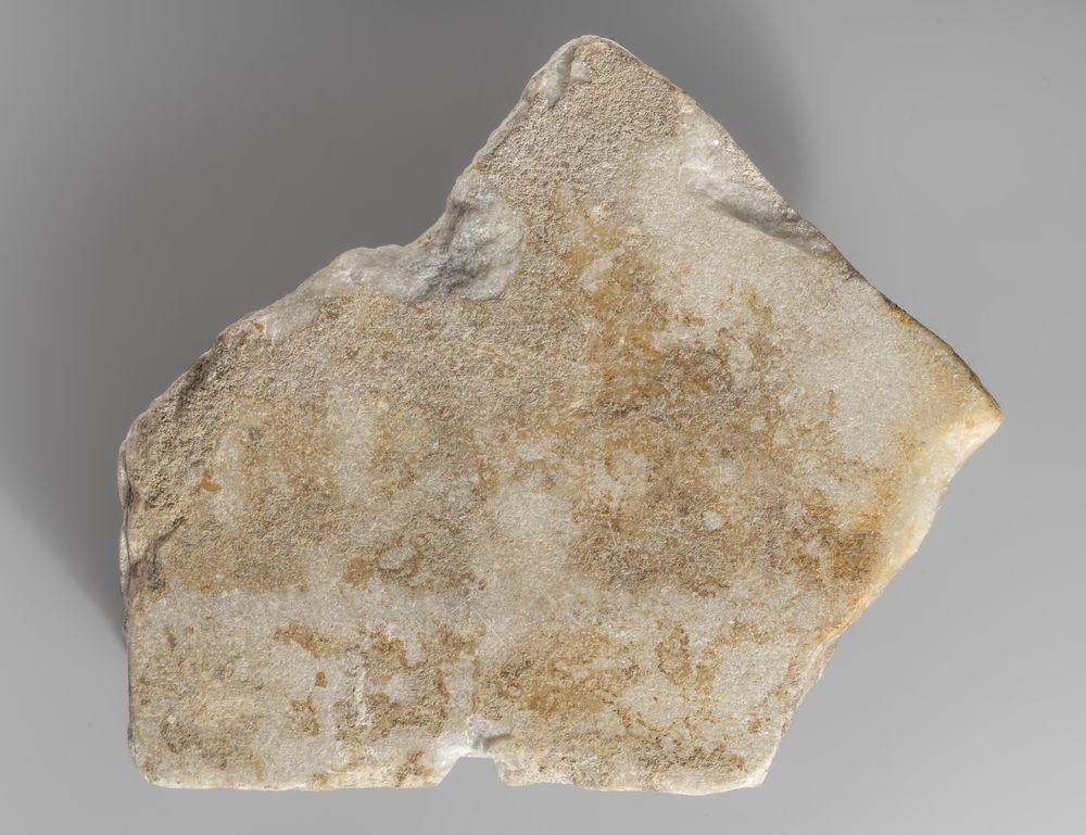 Patte de taureau du cycle d’Hercule