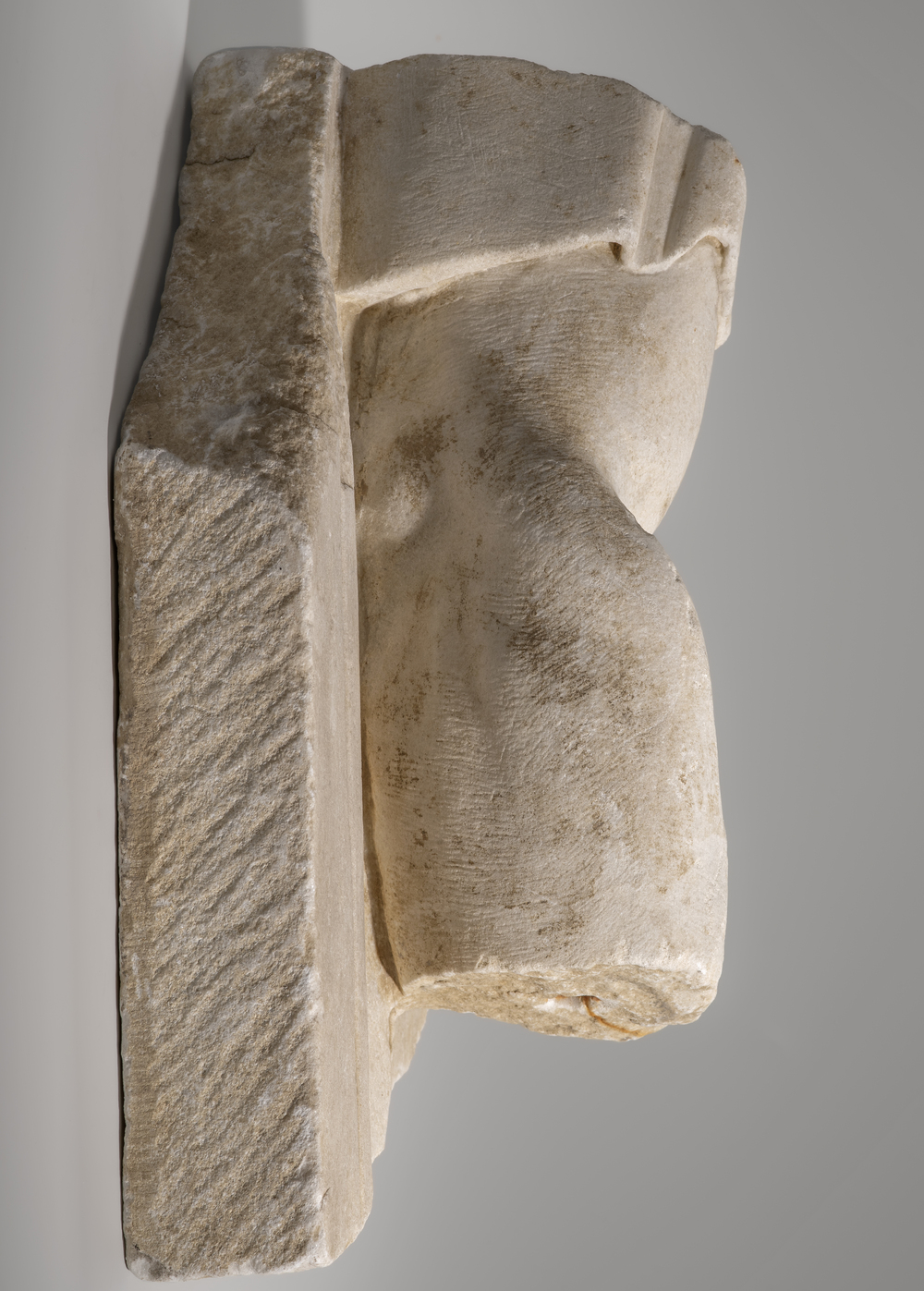 Bras (?) du cycle d’Hercule