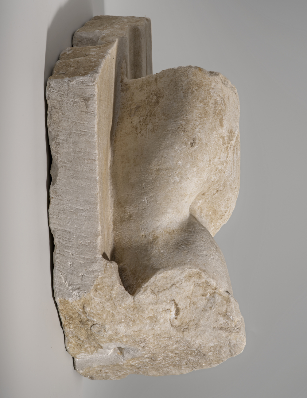 Bras (?) du cycle d’Hercule