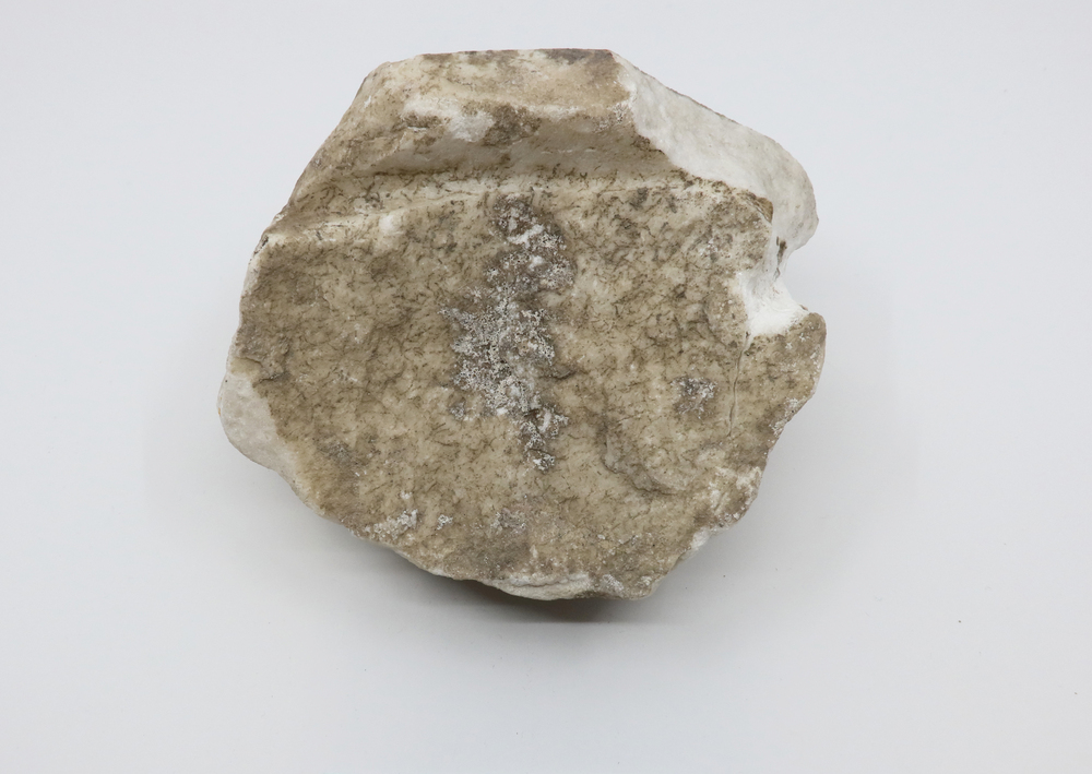 Fragment de relief