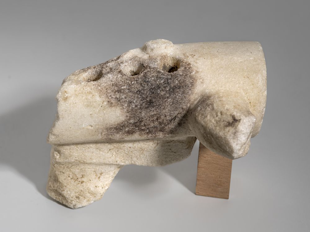 Fragment de lyre ?