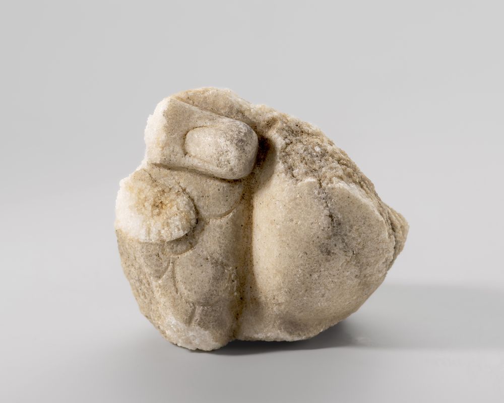 Fragment de main empoignant un serpent