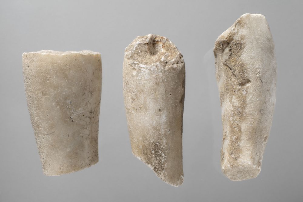 Six fragments de jambe ou de bras