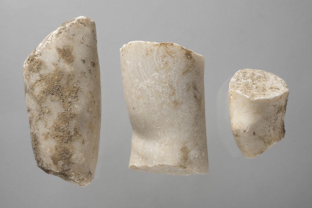 Six fragments de jambe ou de bras