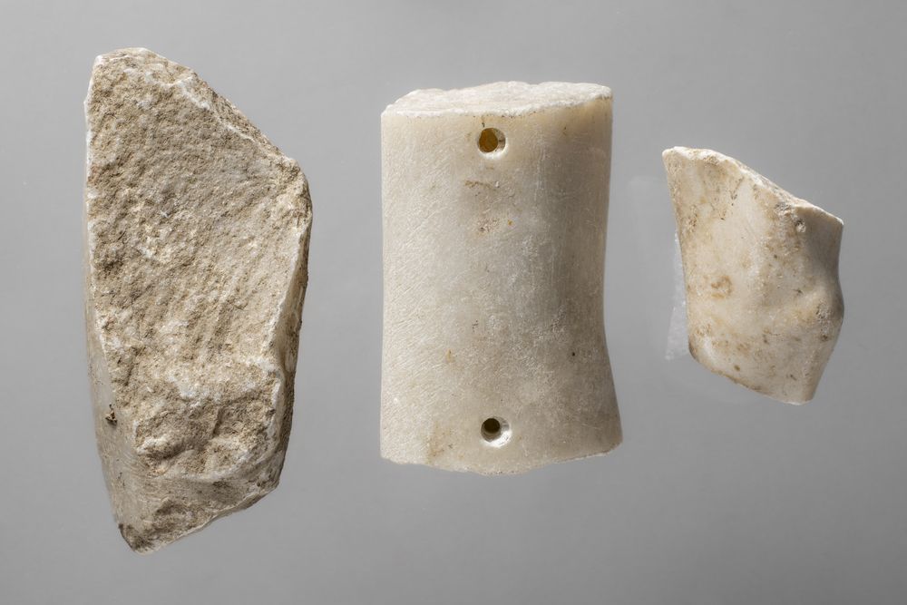 Six fragments de jambe ou de bras