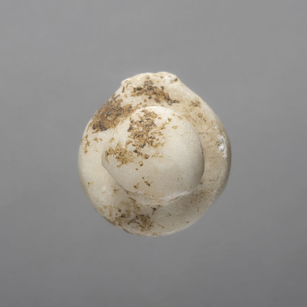 Bouton de préhension d’un vase