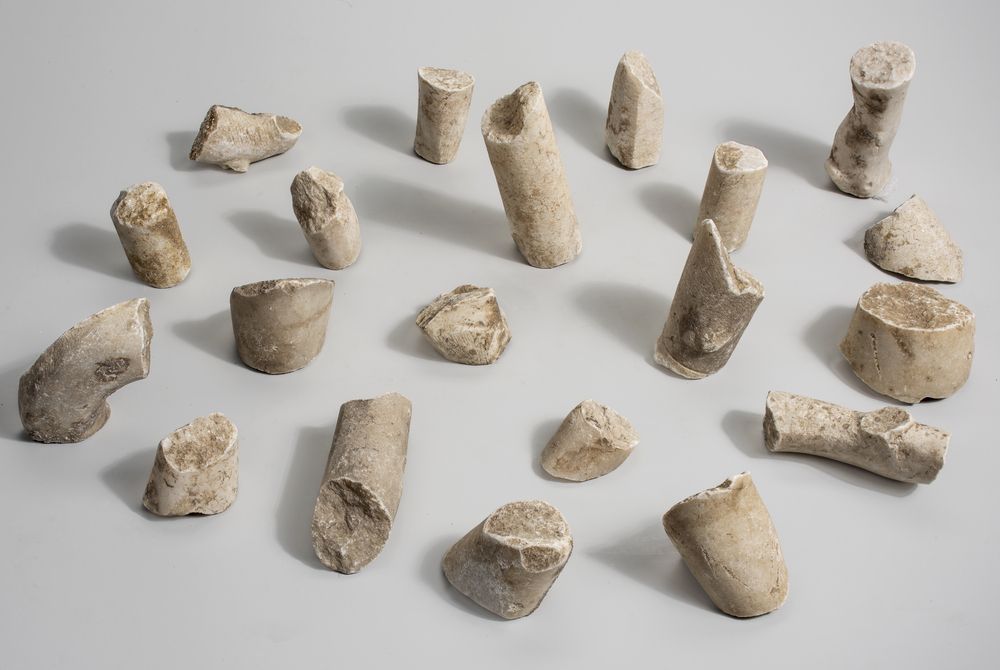 Vingt fragments de branches végétales